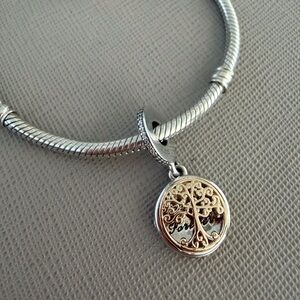 Pandora Family Roots Dangle charm